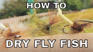 Dry Fly Fishing  How To with Tom Rosenbauer [upl. by Emilee]