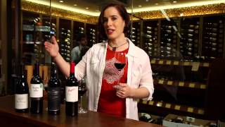 Pinot Noir Merlot Cabernet Sauvignon Shiraz Syrah  Red Wine Guide [upl. by Neehar]