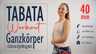 Tabata Workout ohne Springen  effiziente Übungen zur Ganzkörperkräftigung  Katja Seifried [upl. by Elysee743]