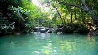 Beautiful Mountain Stream Bubbling Brook Nature Sounds Small Waterfall White Noise for Sleeping [upl. by Nywde]