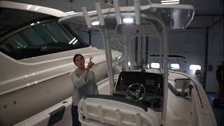 New 2019 Robalo R242 Equipped With Twin Yamaha 150s [upl. by Korwun671]