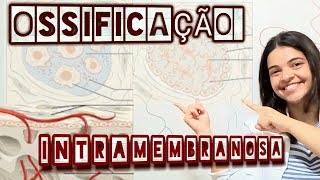 Sistema Esquelético Ossificação Intramembranosa [upl. by Ragde634]