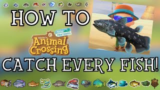 How To Catch Every Fish in Animal Crossing New Horizons  New Horizons Fishing Guide [upl. by Rather]