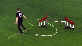 How To Move Your Feet In Dog Agility [upl. by Udell455]