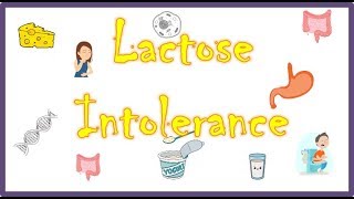 Am I still lactose tolerant  Lactose Gene Therapy Update [upl. by Ynnos]