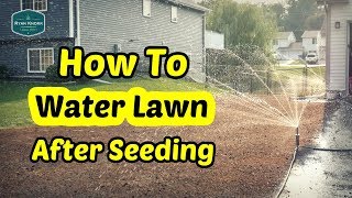 How To Water Your Lawn After Seeding [upl. by Relyhs19]