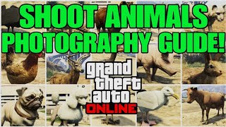 GTA Online Shoot Animals Photography Guide Guaranteed Spawn Locations [upl. by Grae757]