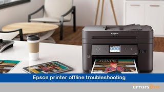 How to fix Epson Printer Offline  Errorsdoccom [upl. by Nasus]