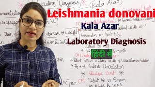 Leishmania Donovani  Kala Azar  Laboratory Diagnosis  Parasitology  By Manisha Maam [upl. by Ayom807]