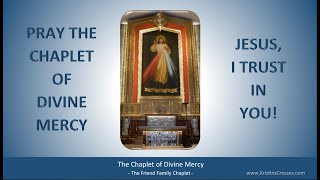 Pray the Chaplet of Divine Mercy [upl. by Josephine398]