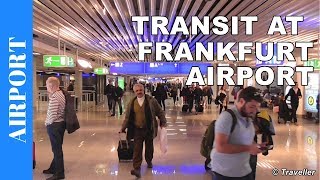 TRANSIT WALK AT FRANKFURT Airport FRA Terminal 1  Connection Flight Transfer Arriving amp Departing [upl. by Nitsir]