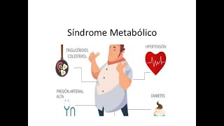 SÍNDROME METABÓLICO ETIOLOGÍA PATOGENIA FISIOPATOLOGÍA Y TRATAMIENTO NUTRICIONAL [upl. by Bigler]