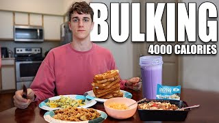 4000 Calorie Full Day of Eating  BULKING Meal Prep [upl. by Erena]