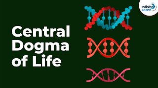 Genetics  Central Dogma of Life  Lesson 17  Dont Memorise [upl. by Koenig893]