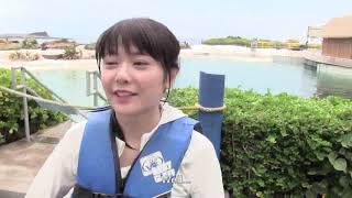 Taketatsu Ayana plays with dolphins [upl. by Cutlerr]