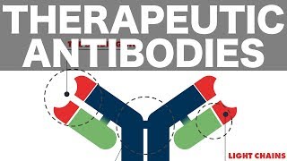 Therapeutic Monoclonal Antibodies [upl. by Capp]