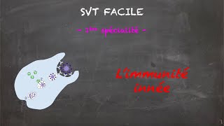 SVT FACILE  1ère spé  Limmunité innée [upl. by Nuawad]