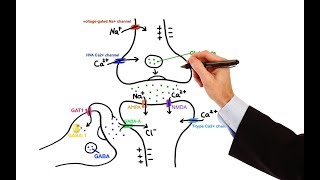 Pharmacology  ANTIEPILEPTIC DRUGS MADE EASY [upl. by Harlene]