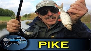 Pike fishing tips  Live Baiting by TAFishing Show [upl. by Niuqauj]