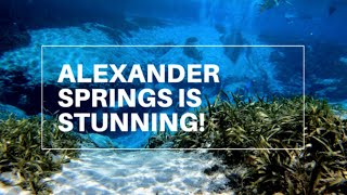 Alexander Springs Campground Tour amp Review  Florida Springs  Ocala National Forest [upl. by Evania]