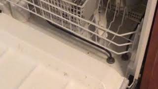 Hotpoint dishwasher how to start  guide [upl. by Whittaker]