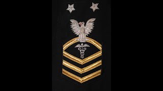 Navy Rating Badges [upl. by Nilde]