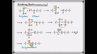 Veresterung Reaktionsmechanismus [upl. by O'Kelly408]