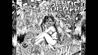 Septic Death  Now That I Have The Attention 1986 FULL ALBUM [upl. by Thirza]