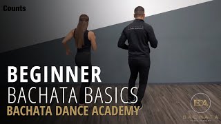 Bachata Beginner Basic Steps Tutorial  Demetrio amp Nicole  Bachata Dance Academy [upl. by Irita231]