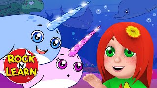 Baby Narwhal  Fun Activity Song  Learn About Ocean Creatures for Kids [upl. by Risan]