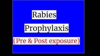 Rabies ProphylaxisPre amp Post exposure prophylaxis [upl. by Barcroft938]