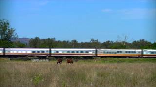 Australian Locomotives  Queensland Rail  Westlander [upl. by Soalokin]