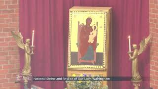 Holy Mass Live from Walsingham  17h August 2024 [upl. by Otreblon]