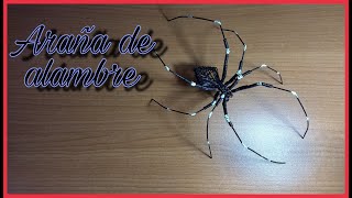 Araña de alambre [upl. by Demott]