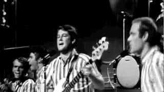 Surfin USA Live on the TAMI Show 1964 [upl. by Einram42]