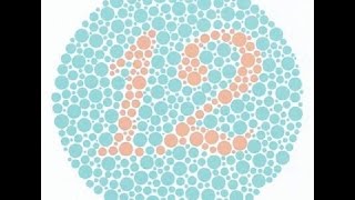 Best color blindness test [upl. by Odraboel37]