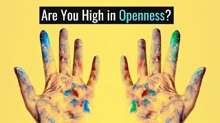 4 Signs You are High in Openness [upl. by Oatis]