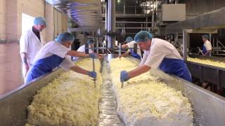 Cheese Making Process [upl. by Adnamas]