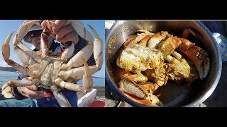 Catch and cook dungeness crab  how to catch crabs on Oregon coast [upl. by Akimaj]