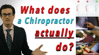 What Does a Chiropractor ACTUALLY Do [upl. by Nelhsa]