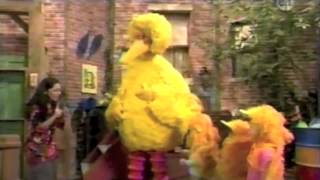 Sesame Street  Leelas Sesame Street video [upl. by Reiner]