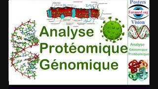 Proteome et Genome Analyse génomique protéomique interaction des protéines ligands bioinformatique [upl. by Prisca]