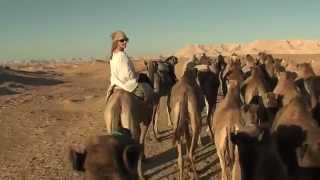 Camel rides through the Desert in Egypt [upl. by Mayhew712]