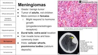 Nervous System Tumors [upl. by Karlotte]