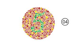 Color Blindness Test [upl. by Teevens]