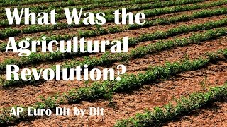 What Was the Agricultural Revolution AP Euro Bit by Bit 23 [upl. by Enaasiali]