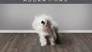 Introducing Mannington Adura® Max LVT WPC Floors [upl. by Kristie]