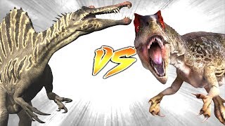 Spinosaurus VS Allosaurus Who Would Win [upl. by Eednahs]