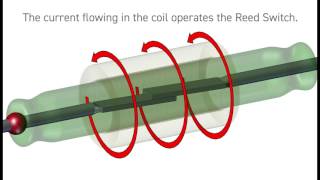 What is a Reed Relay from Pickering Electronics [upl. by Edrick]