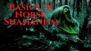 Norse Shamanic Basics [upl. by Nnaecyoj]